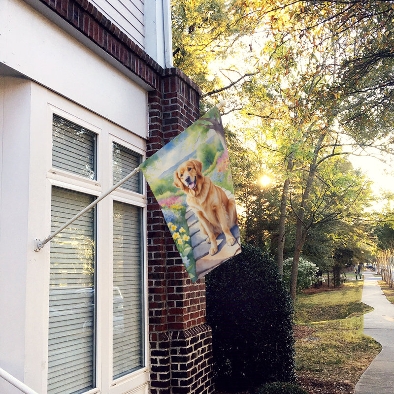 Drapeau de maison en polyester à double face H 40 po x l 28 po Asmoth