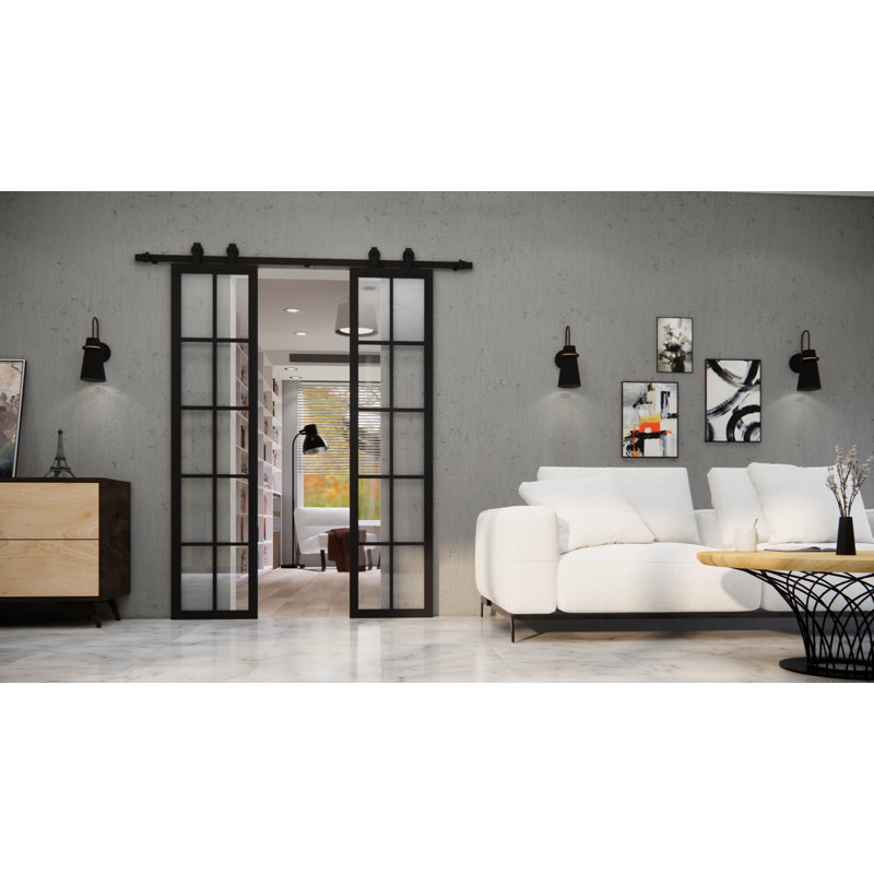 Metal Frame With Glass Barn Door