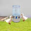 Bol à eau chauffé pour poulets