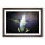 Hummingbird Bird in Flight in Abstract - Picture Frame Painting Print-55763871-55763872