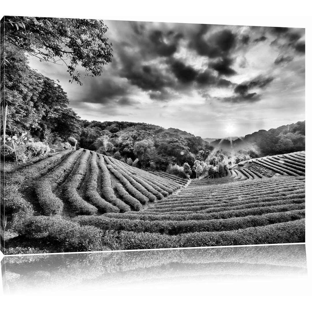 Leinwandbild Teeplantage bei Sonnenuntergang in Monochrom