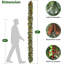 53.15cm Plant