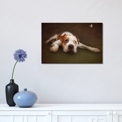 Illusion 1 Piece Wrapped Canvas Wall Art