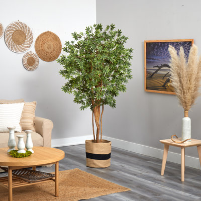 72'' Faux Maple Tree in Burlap, Cotton Planter