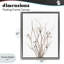 Cadre flottant Curly Floral Branches, design par Lanie Loreth-203582303-203582300