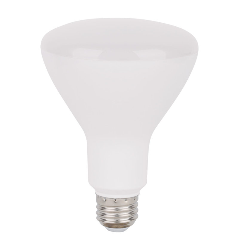 8 Watt BR30 E26/Medium (Standard) Dimmable Bulb, 2700