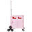 Foldable Cart With Stair Climbing Wheels Collapsible Rolling Crate 65L