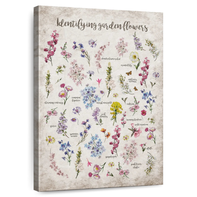 Harnek Flower Identification Chart, 39" H x 26" W