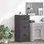 Storage Cabinet-978873933