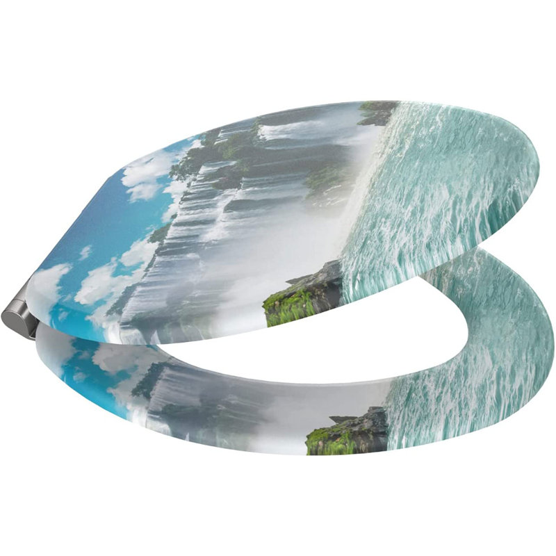 Elongated Toilet Seat and Lid