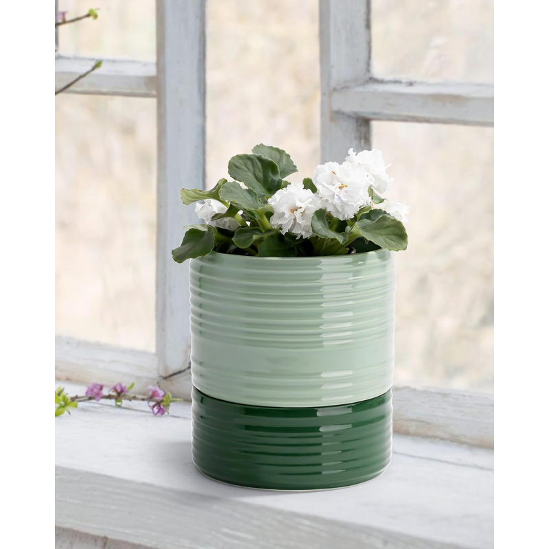6" Self-watering Ceramic Planter
