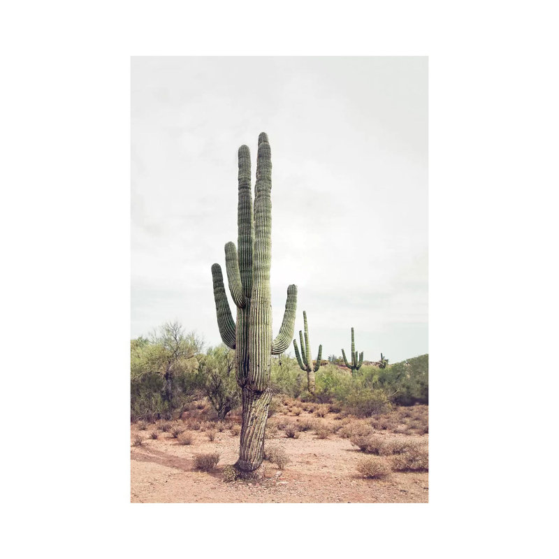 Desert Cactus Blush by Sisi & Seb - Wrapped Canvas Print, 20.32 cm H x 30.48 cm W, Beige