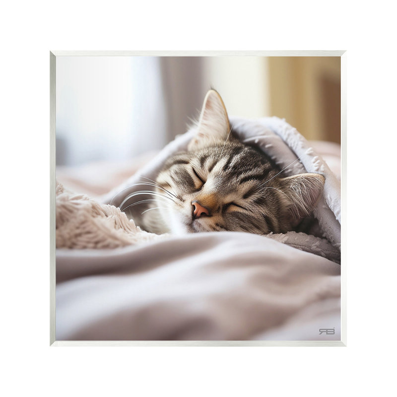 «Cozy Sleeping Kitten», art mural par RB