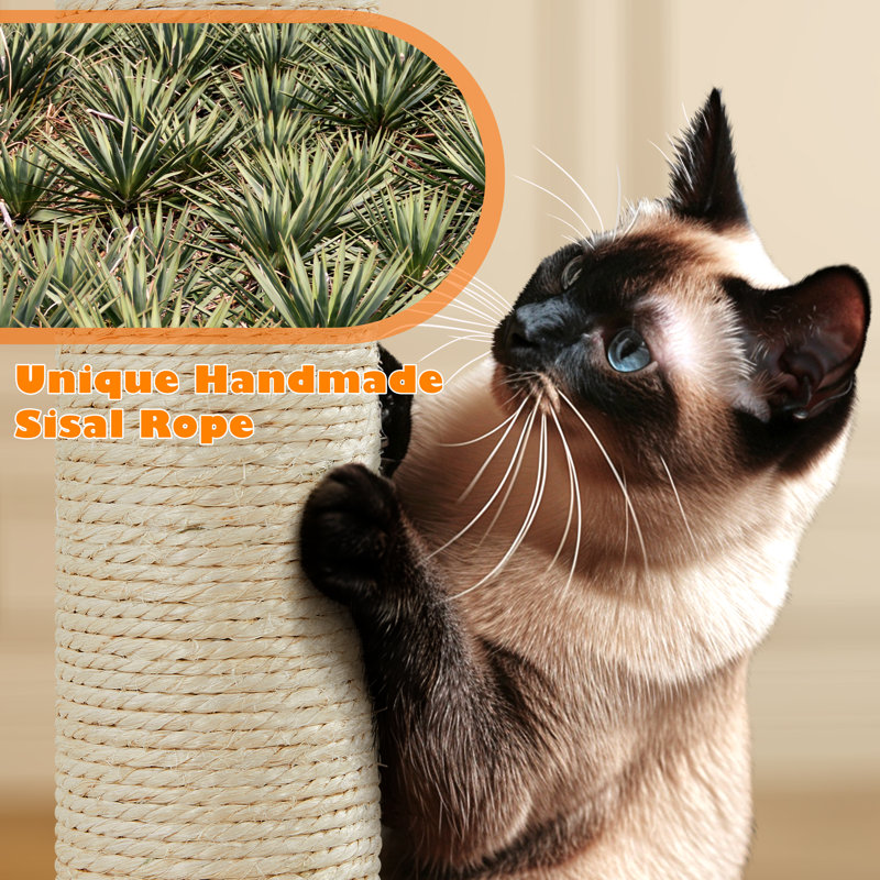 62.2" Siegfried Multi-Level Cat Tree for Small/Medium Cats, Beige