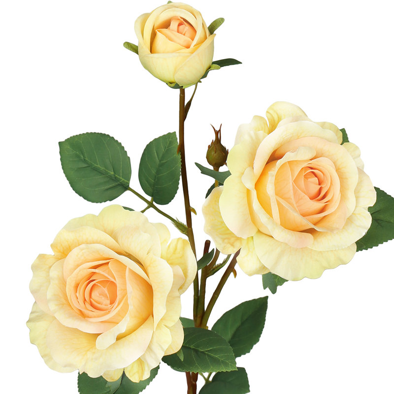 Fleur de sucre en aérosol, Pêche