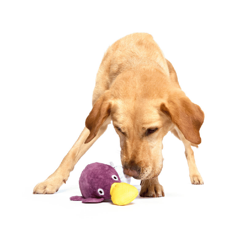 Australian Outbark Accessories