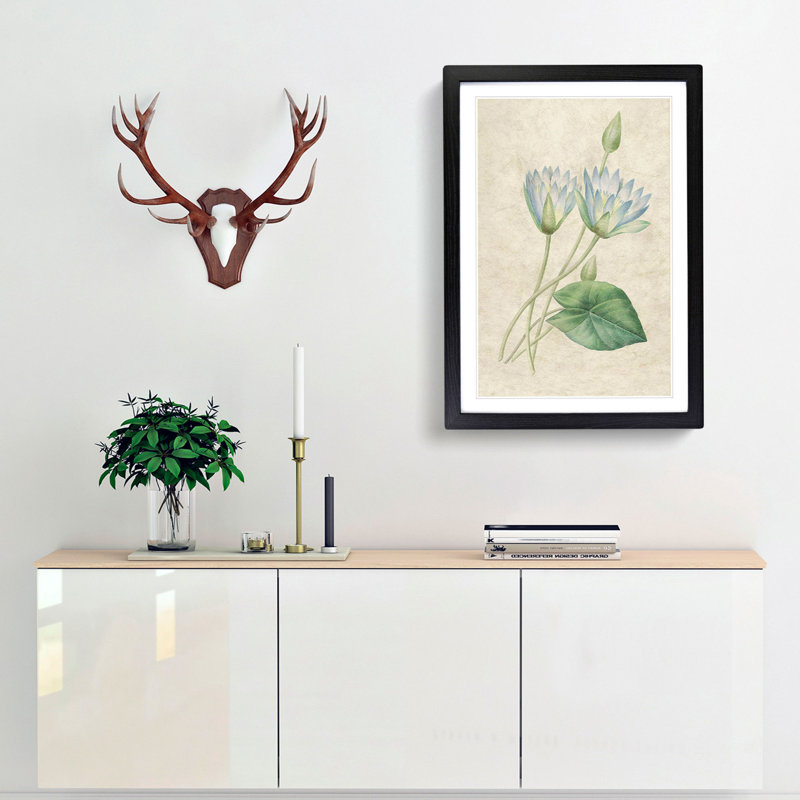 Egyptian Lotus Flowers by Pierre-Joseph Redoute - Picture Frame Painting Print, 36cm H x 27cm W x 2cm D, Black Framed