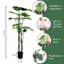 Arbres artificiels avec pot Monstera Deliciosa-405306185-405306188
