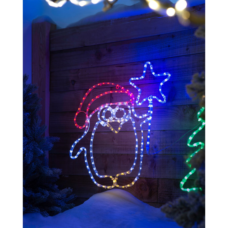 49cm LED Indoor / Outdoor Rope Lights