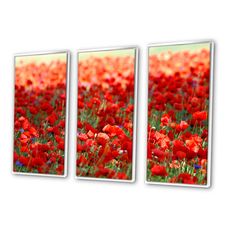 «Thick Red Poppy Flower Field», ensemble d'art mural sur toile à motif floral, H 20 po x l 36 po x P 1 po, Cadre blanc
