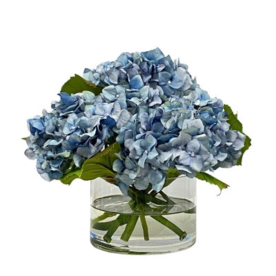 HYDRANGEA IN CYLINDER