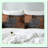 Sakura Blossoms Bedding Set - Soft Fabric Fitted Sheet with Deep Pocket, Floral Trees Plant Lake Mattress Cover Decor, 2 Pillowcases-115841153-115841171