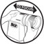 Projecteur Pico