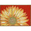 Tapis de cuisine Ismay-86868743-86868737