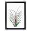 Plumier's Bromelia Flower by Pierre-Joseph Redoute - Picture Frame Painting Print-55602144-55602142