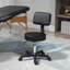 Backed Adjustable Height Industrial Stool