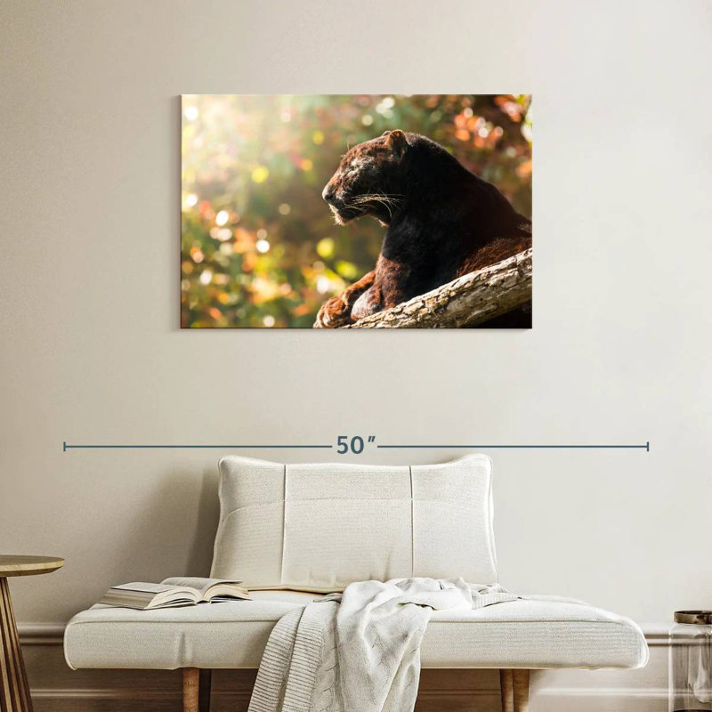 Resting Black Panther, 24" H x 36" W