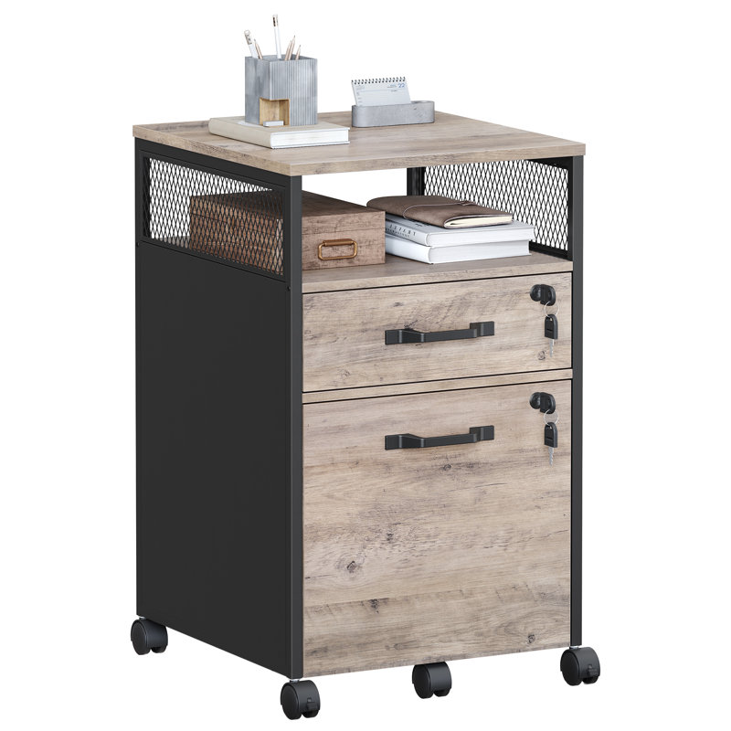 Alican 42cm Wide 2 -Drawer File Cabinet