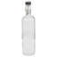 Lark Manor Ernst 700ml Double Wall Insulated Glass Water Bottle