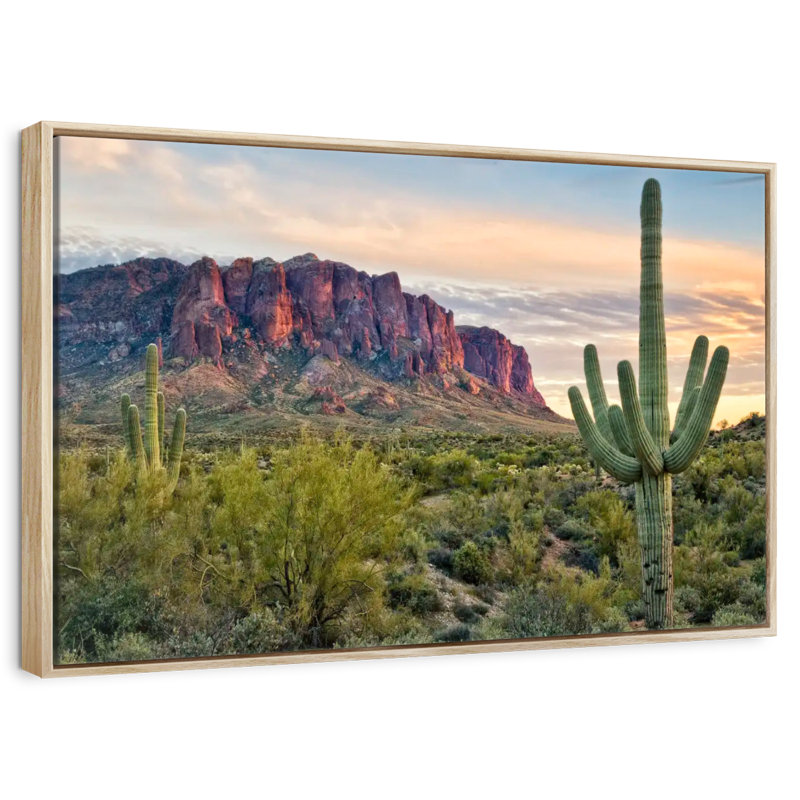 Cactus View II, Cadre flottant en bois naturel, 37 po x 25 po