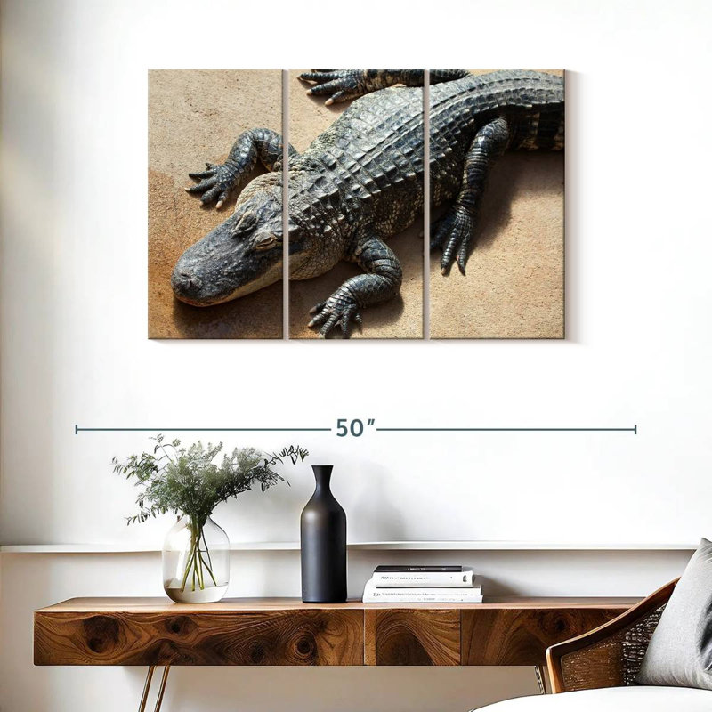 Alligator, 24" H x 38" W