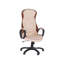 Executive Chair with Headrest
