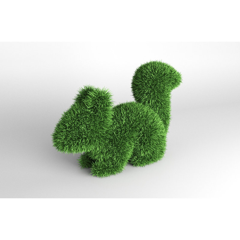 Topiaire écureuil vert extérieur