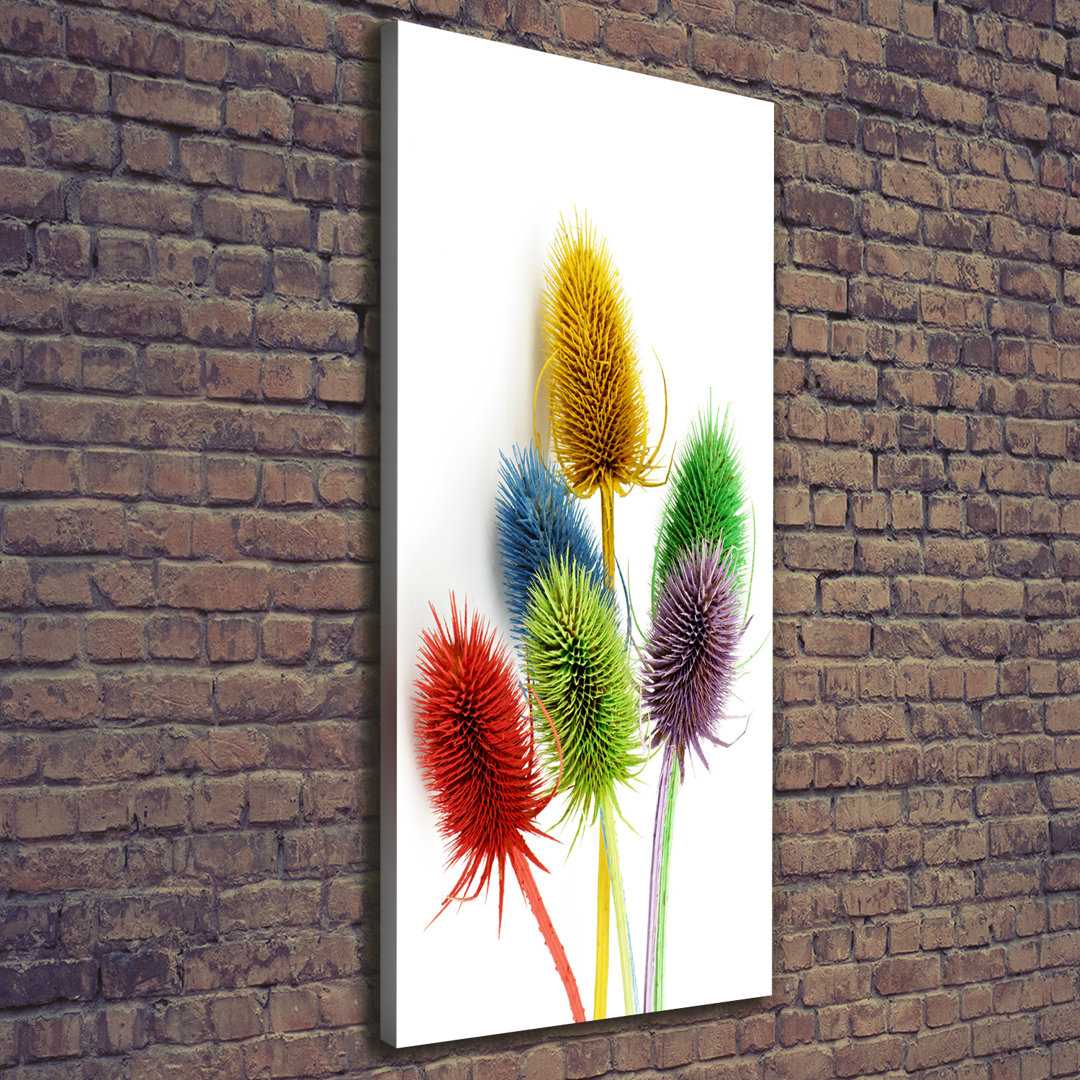 Distel - Kunstdrucke auf Leinwand - Wrapped Canvas