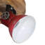 Spotlight-2116615993-2116615995-2116615996-2116615999