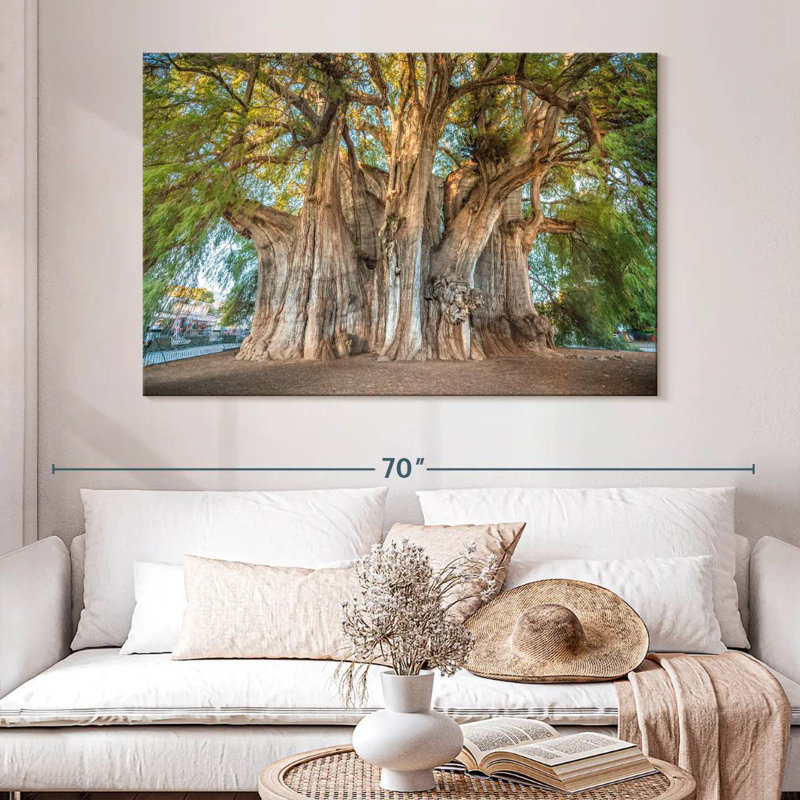 Arbre Harnek Arbol El Tule, H 34 po x l 51 po