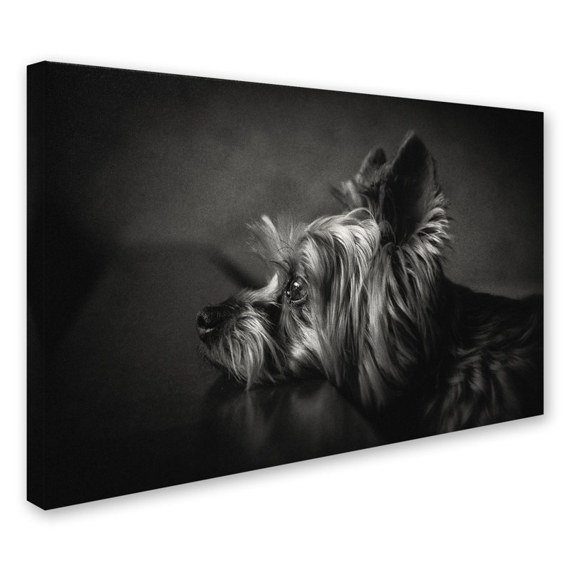 «i wait you you you you you you you you you you you you you you you you... reproduction de photo sur toile tendue