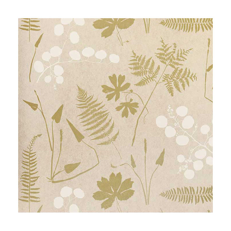 Papier peint botanique moderne, Parchemin
