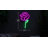 15" LED Neon Style Rose Wall Sign