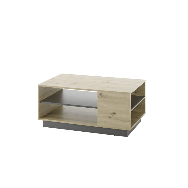 Burleson Solid Coffee Table with Storage