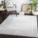 Aguayo Oriental Indoor Rug