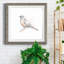 Robin des bois II-62718990-62718997