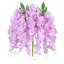 Tige de glycine suspendue-591469444