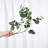 Audet Artificial Eucalyptus Branch(1 Stem)-1750349365