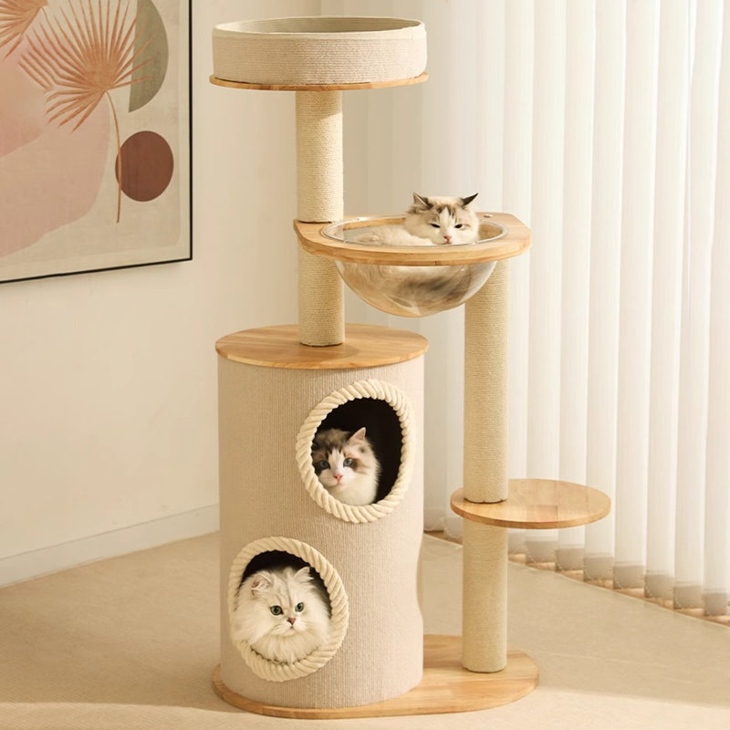 Arbre à chat 4 niveaux avec condons, perchoir, poteaux à griffer