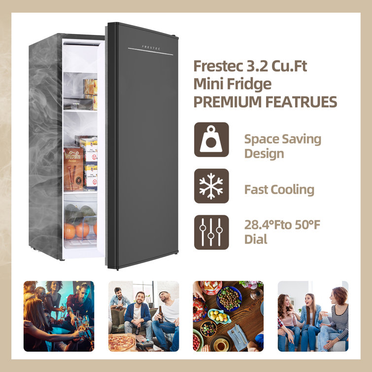 Frestec 3.2 Cubic Feet Freestanding Mini Fridge with Freezer & Reviews